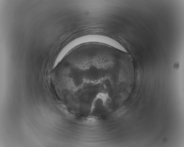 X0000114210475200910231410