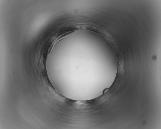 X0000114210477200910231410