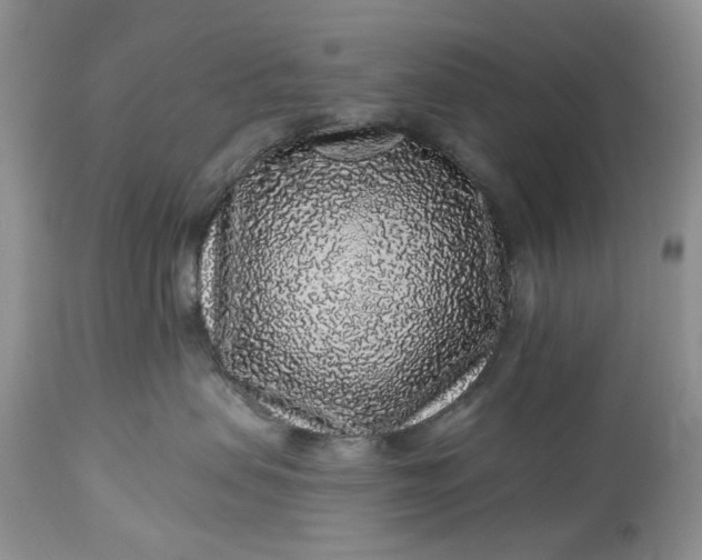 X0000114210479200910231410