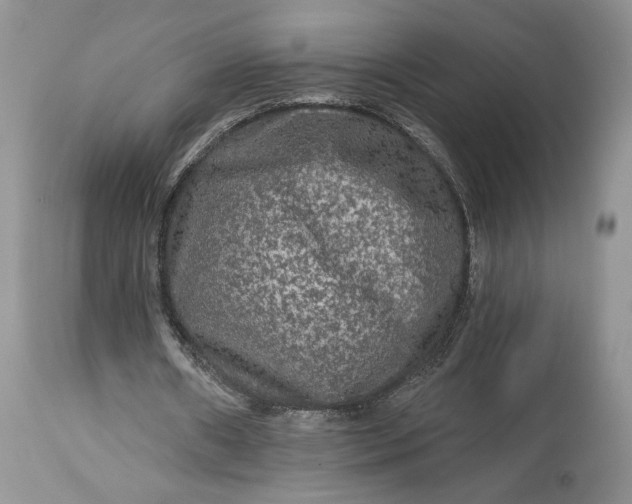 X0000114210482200910231410