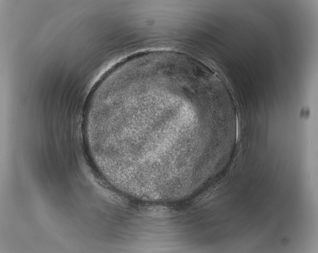 X0000114210483200910231410