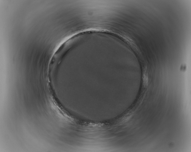 X0000114210484200910231410