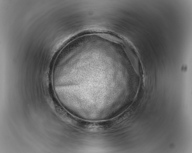 X0000114210487200910231409