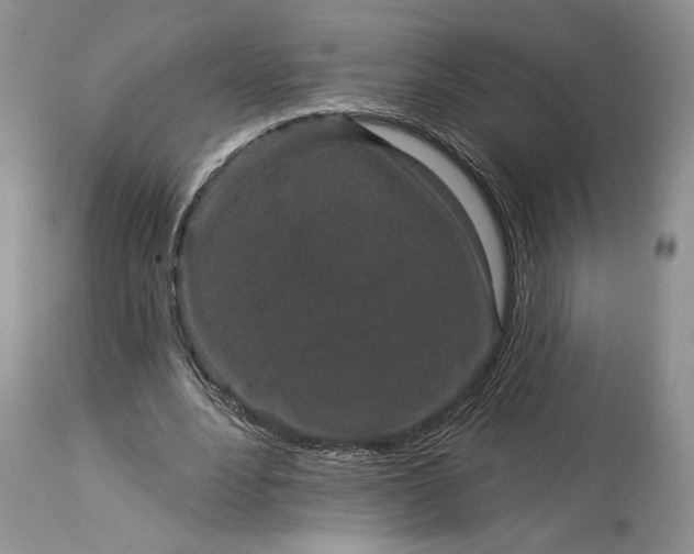 X0000114210488200910231409