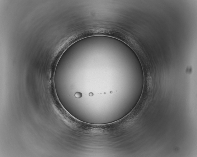 X0000114210490200910231409