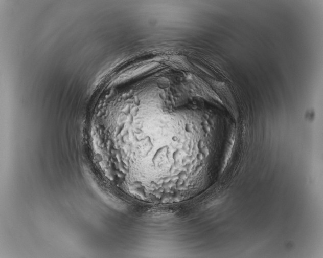 X0000114210491200910231409