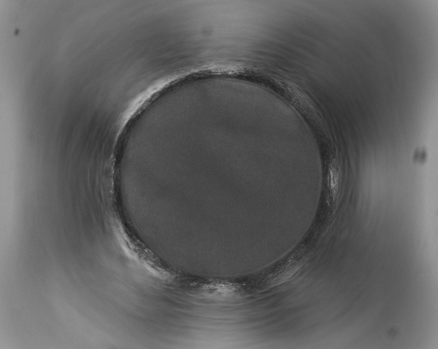 X0000114210492200910231409