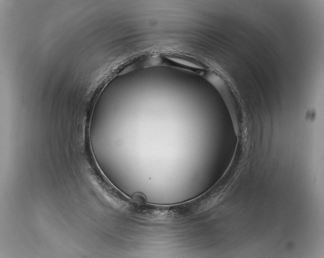 X0000114210493200910231409