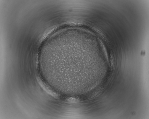 X0000114210494200910231409