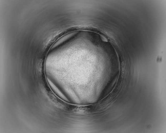 X0000114210495200910231409