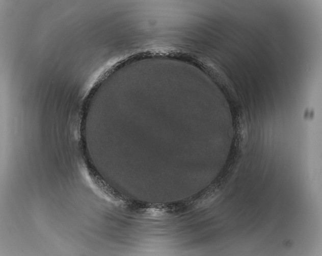 X0000114210496200910231409