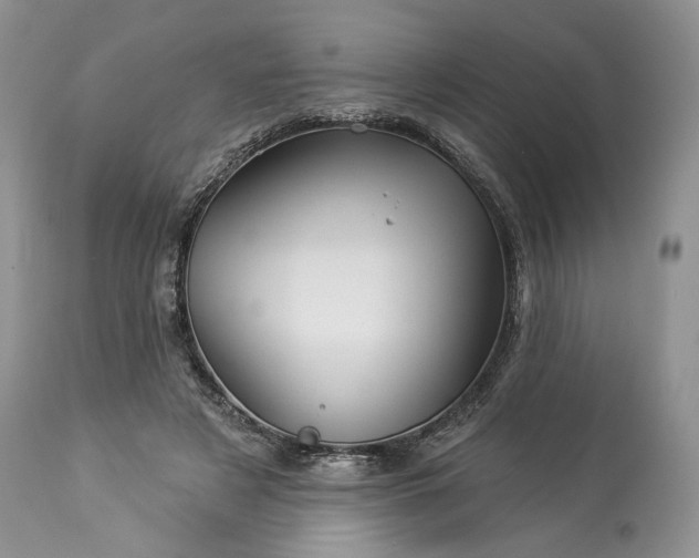 X0000114210497200910231409