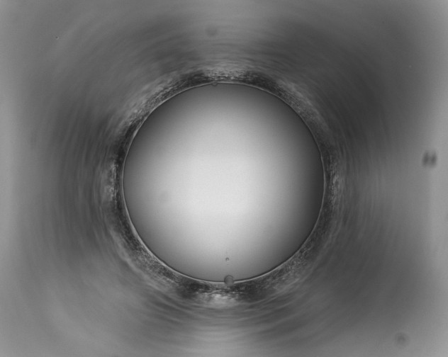 X0000114210498200910231409