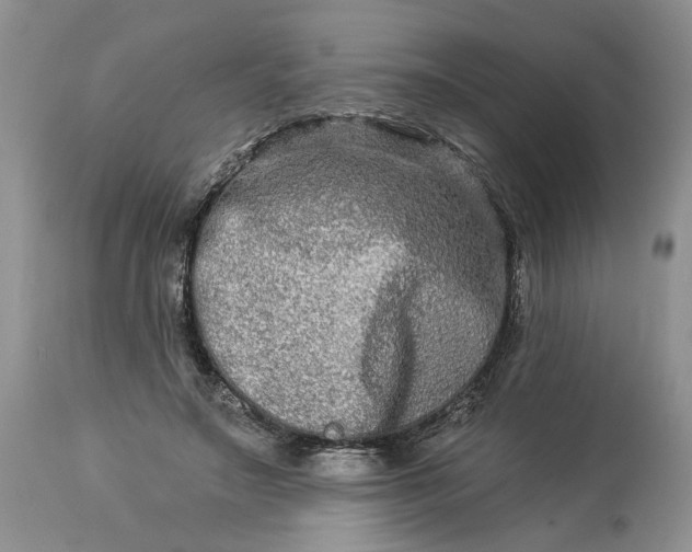 X0000114210499200910231409