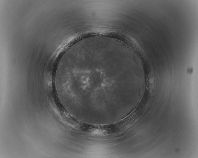 X0000114210500200910231409