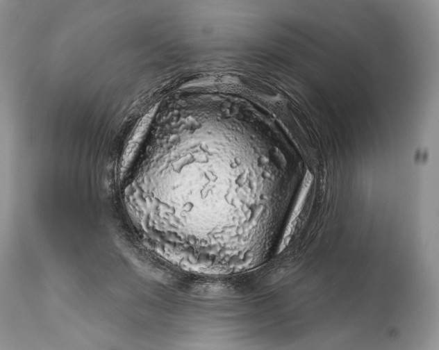 X0000114210503200910231409