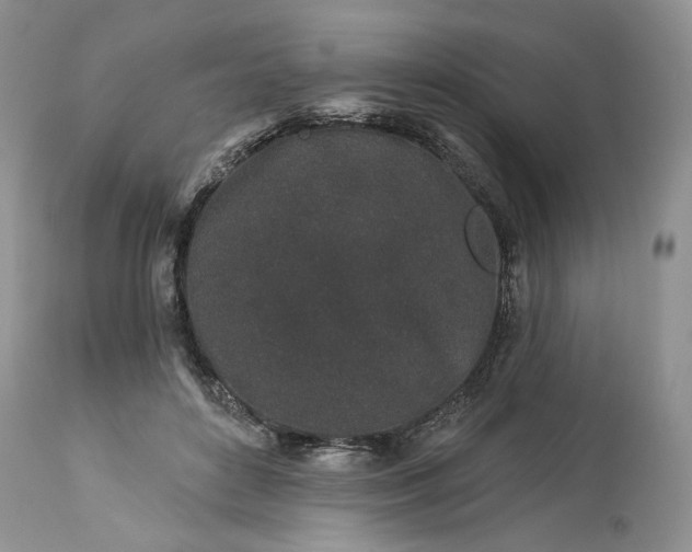 X0000114210504200910231409