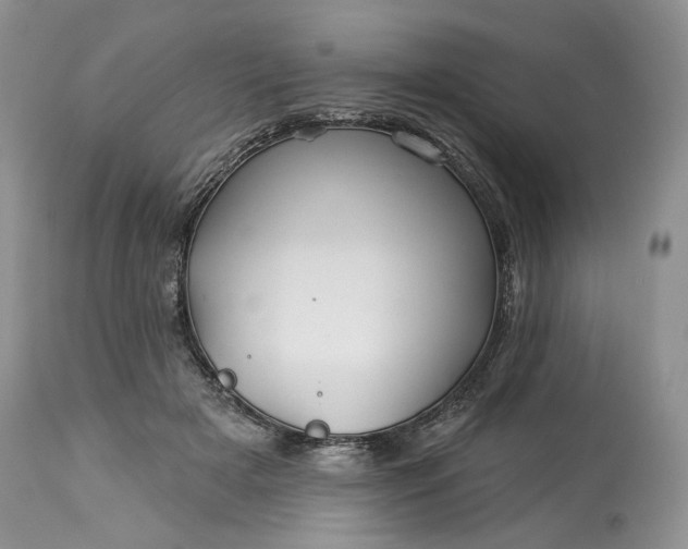 X0000114210505200910231409