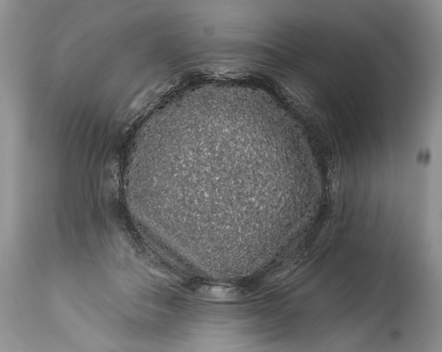 X0000114210506200910231409