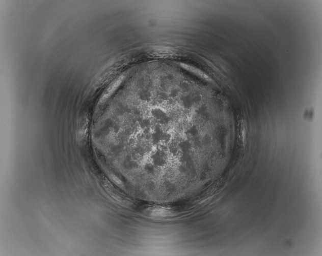 X0000114210507200910231409