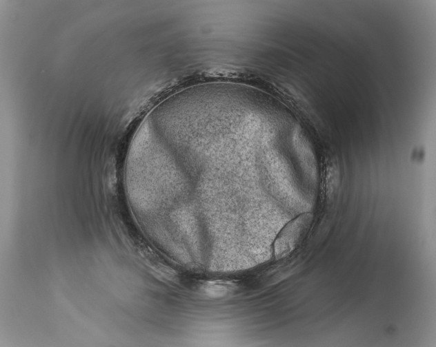 X0000114210508200910231409