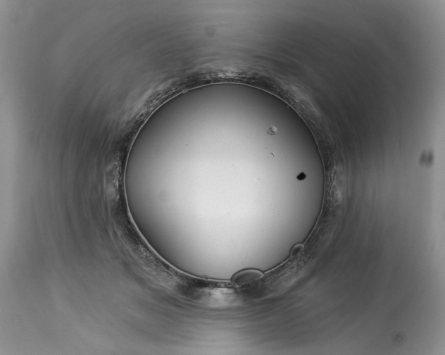 X0000114210509200910231409