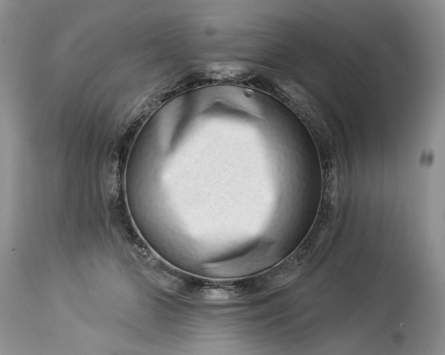 X0000114210510200910231409