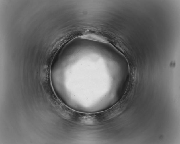 X0000114210511200910231409