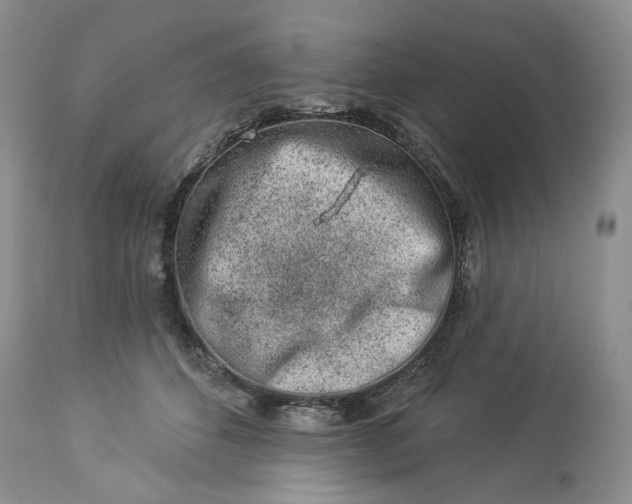 X0000114210512200910231409