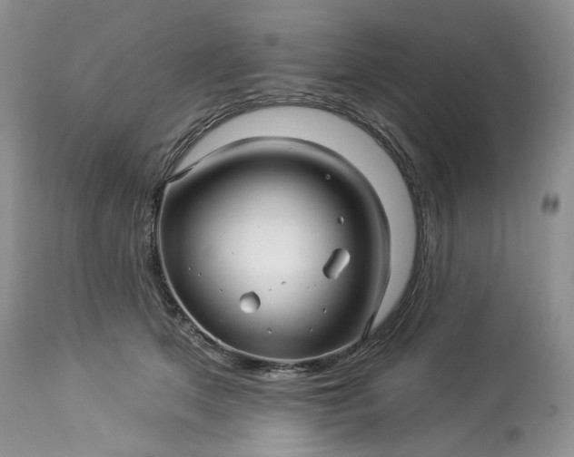 X0000114210513200910231409