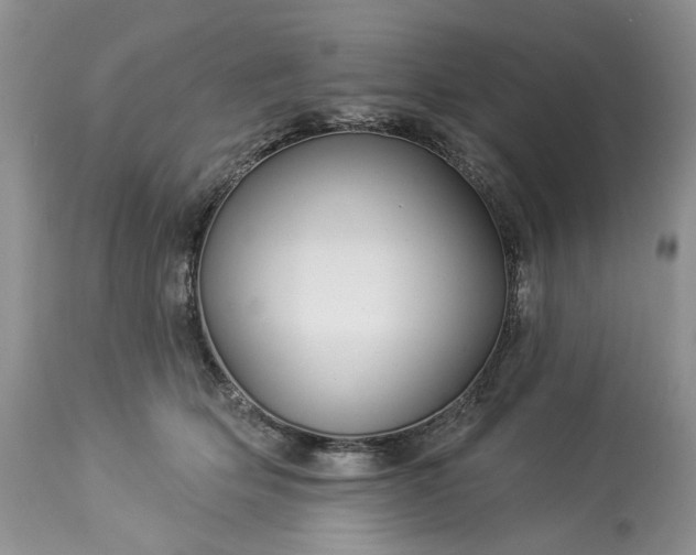 X0000114210514200910231409