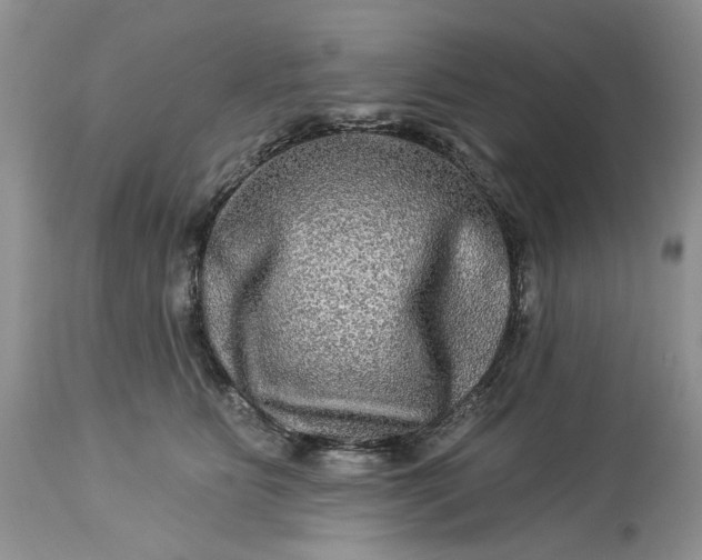 X0000114210515200910231409