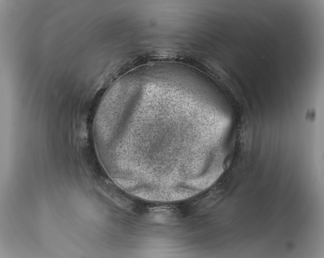 X0000114210516200910231409