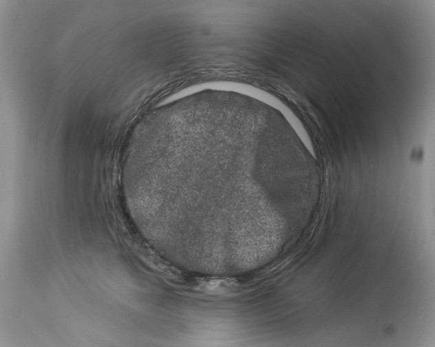 X0000114210517200910231409