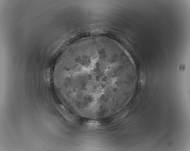 X0000114210519200910231409