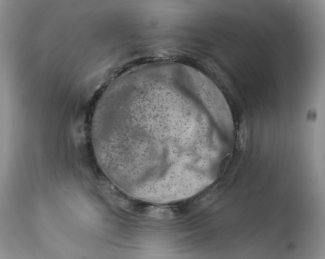 X0000114210520200910231409