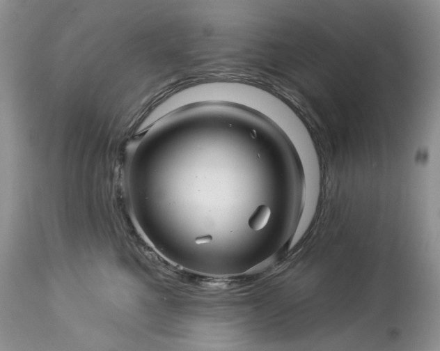 X0000114210521200910231409