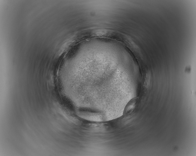 X0000114210524200910231409