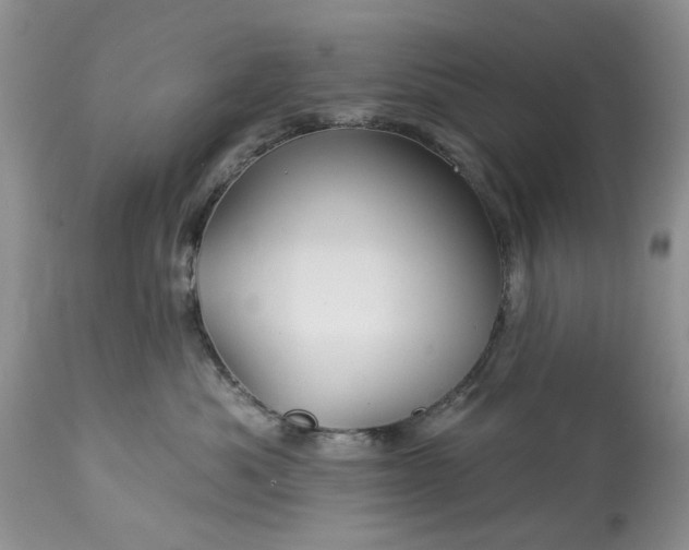 X0000114210525200910231409