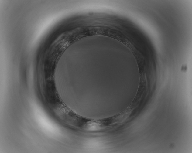 X0000114210526200910231409