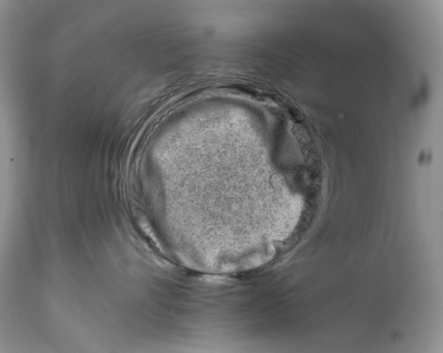 X0000114210528200910231409