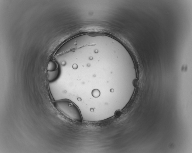 X0000114210529200910231408