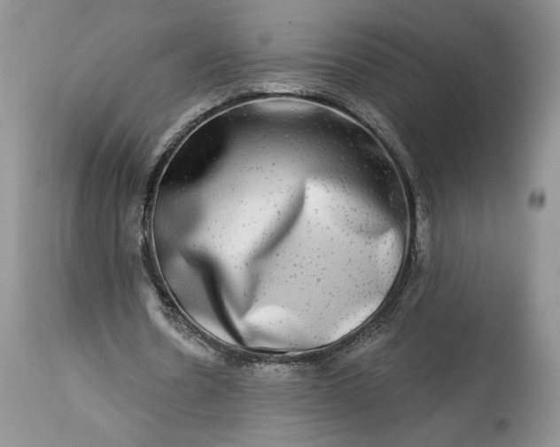 X0000114210530200910231408