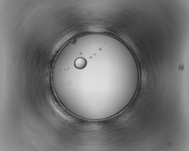 X0000114210533200910231408