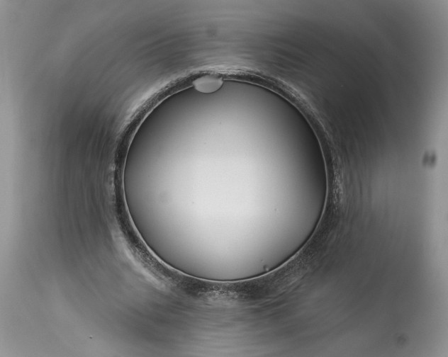 X0000114210535200910231408