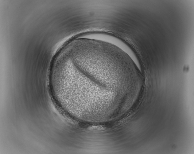 X0000114210536200910231408