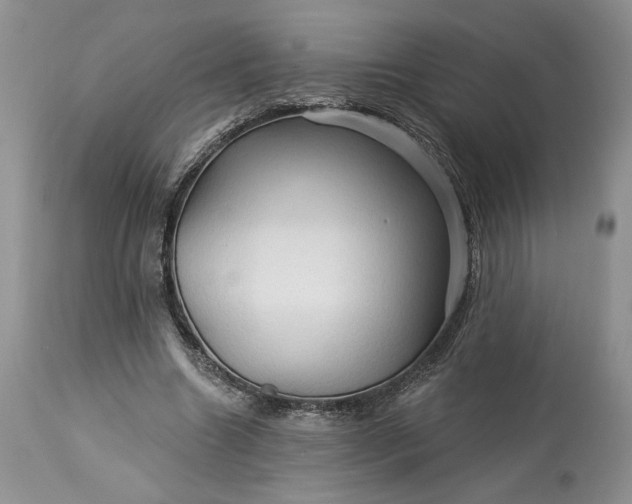 X0000114210538200910231408