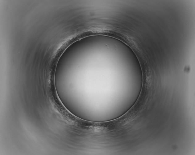 X0000114210539200910231408