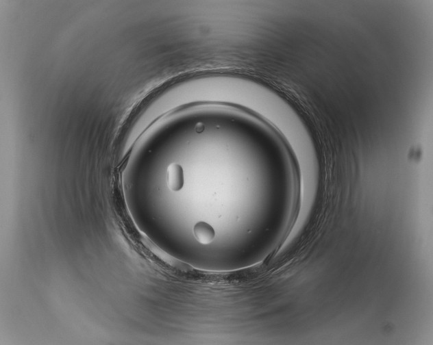 X0000114210540200910231408