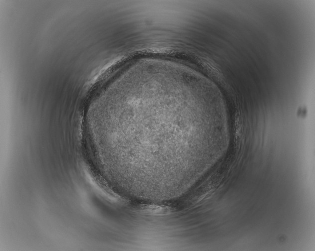 X0000114210542200910231408